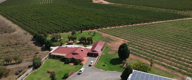 490 Rural Farming Properties For Sale In Wagga Wagga Nsw 2650