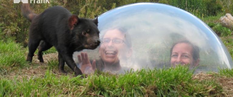 Hotel, Motel, Pub & Leisure commercial property for sale at 5990 Arthur Highway Taranna TAS 7180