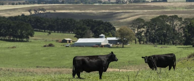 Rural / Farming commercial property for sale at 241 Hillcrest Road Taralga NSW 2580 Rural / Farming commercial property for sale at 241 Hillcrest Road Taralga NSW 2580