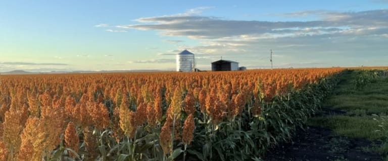 1 370 Rural Farming Properties For Sale In Qld