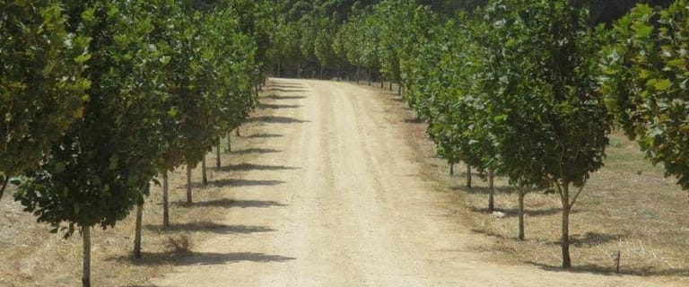 377 Rural Farming Properties For Sale In Wa 377 Rural Farming Properties For Sale In Wa