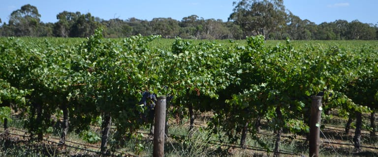 217 Rural Farming Properties For Sale In Sa