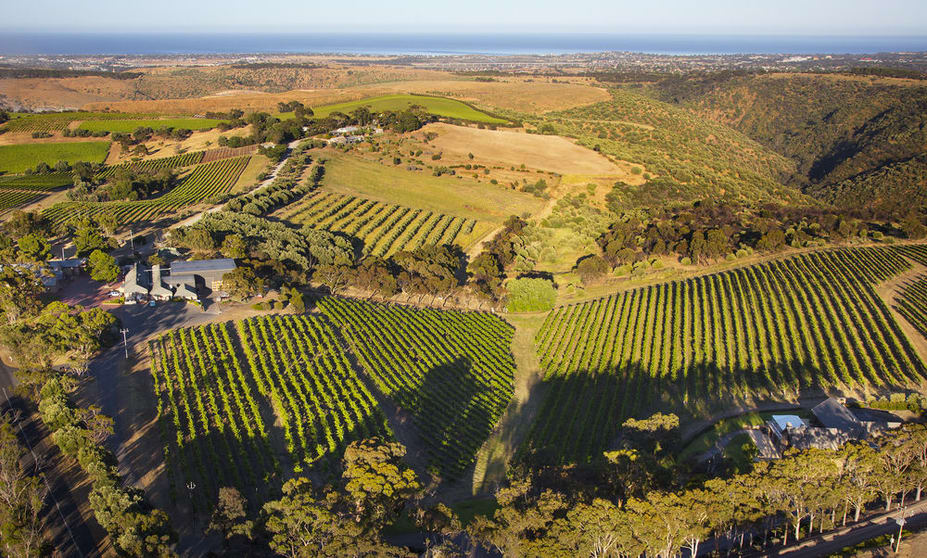 Click to view all images Restaurant/Accommodation at Ch/Chapel Hill & Chaffe Roads Mclaren Vale SA 5171 - Image 3