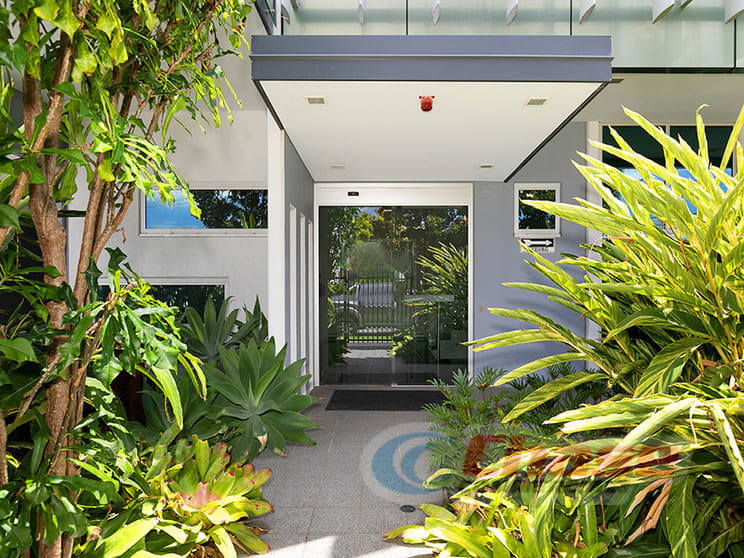 Click to view all images Level Ground/12 Birubi Street Coorparoo QLD 4151 - Image 2