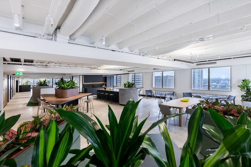323 Castlereagh Street Sydney NSW 2000 - Image 2