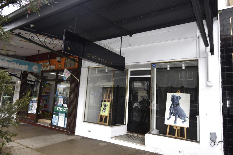 Click to view all images 36 Clovelly Road Randwick NSW 2031 - Image 2