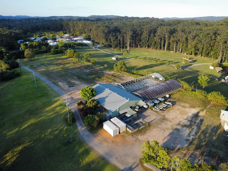 Click to view all images 80 Rifle Range Road Palmwoods QLD 4555 - Image 2