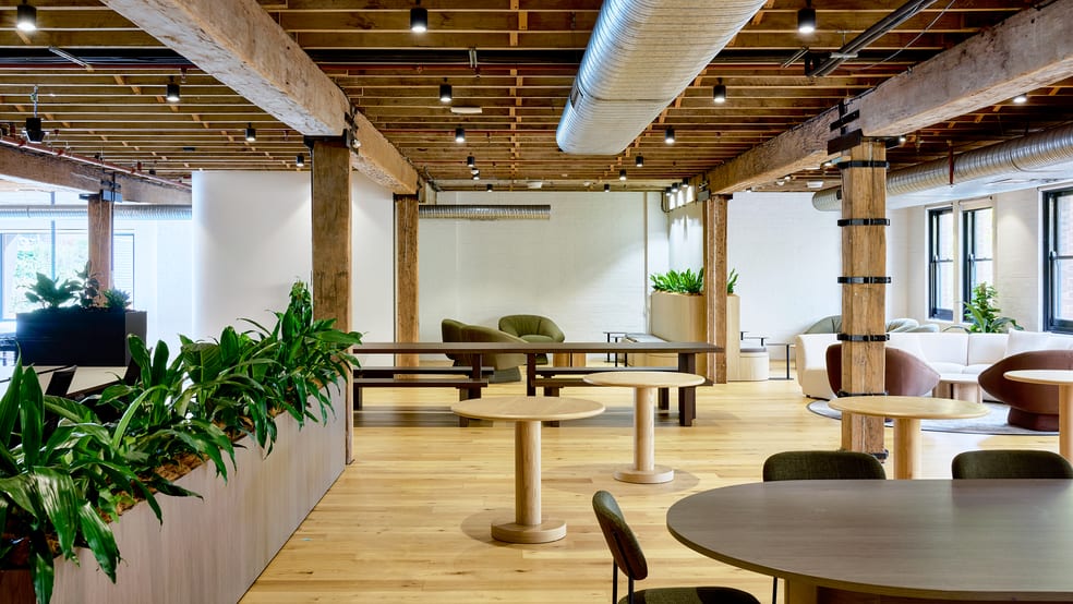 100 Harris Street Pyrmont NSW 2009 - Image 4