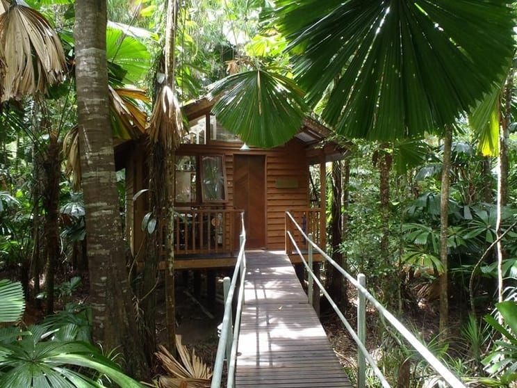 83 Cape Tribulation Road Cape Tribulation QLD 4873 - Image 2