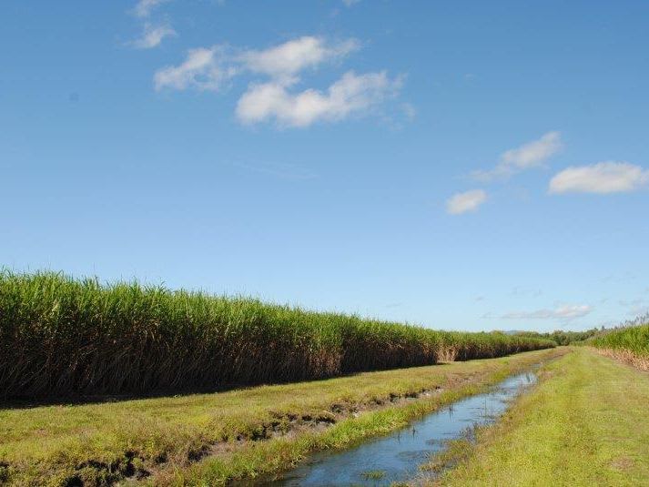 Click to view all images Stephenson & Rinaudo Road Lower Cowley QLD 4871 - Image 2
