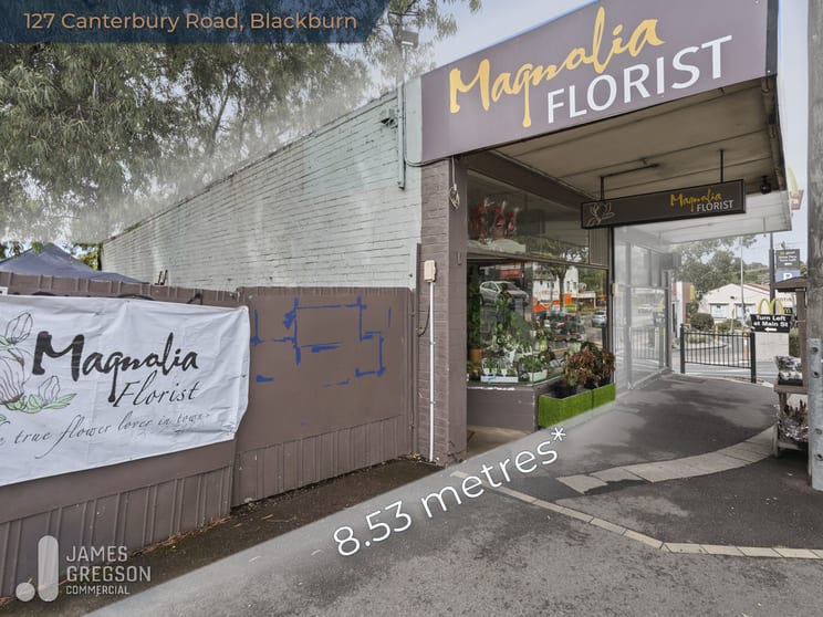 Click to view all images 127 Canterbury Road Blackburn VIC 3130 - Image 3