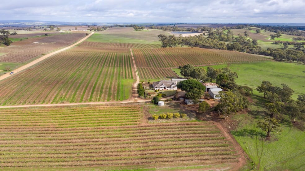 Click to view all images 130 Heinze Road Seppeltsfield SA 5355 - Image 3