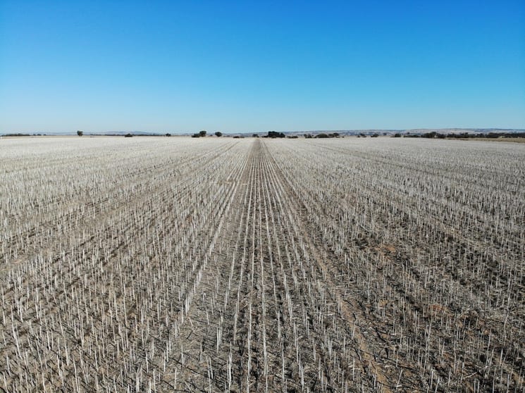 Click to view all images Lot 519 Nine Mile Road Angas Plains SA 5255 - Image 1
