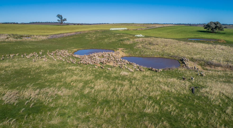 Click to view all images 1973 Euchareena Road Molong NSW 2866 - Image 1