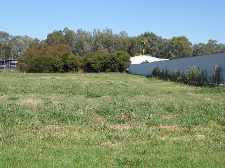 Click to view all images 43 Merkel Street Thurgoona NSW 2640 - Image 3