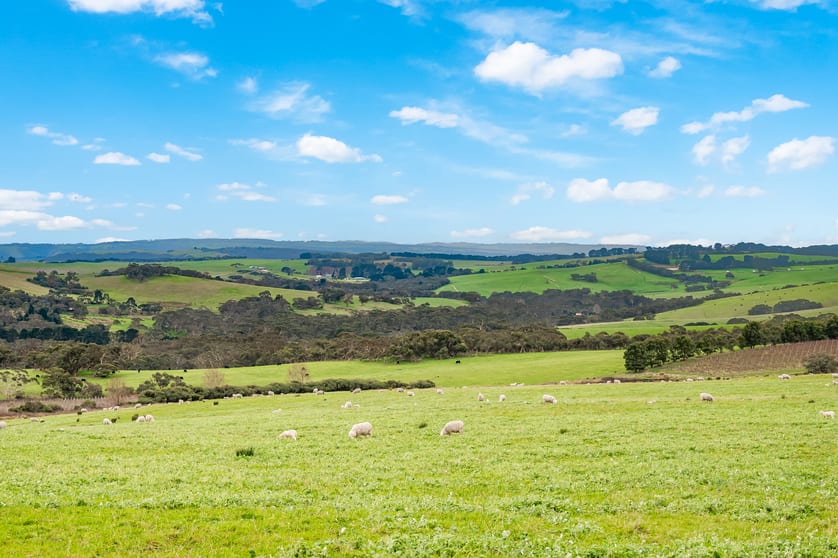 Click to view all images 3399 Victor Harbour Road Mount Jagged SA 5211 - Image 3