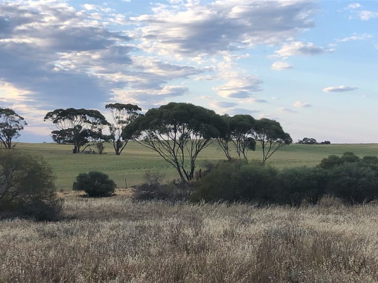 Click to view all images Lot 10 Simpson Road Kyancutta SA 5651 - Image 3