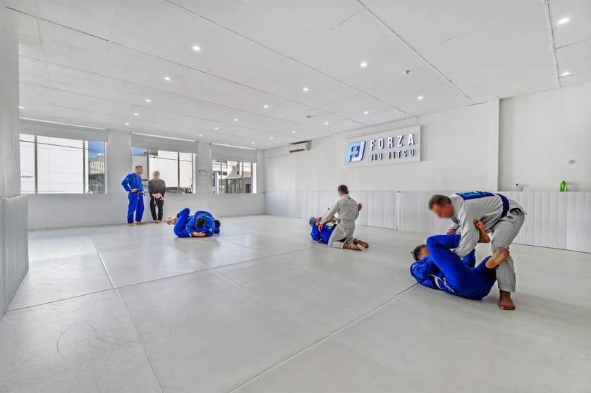 Click to view all images 267 Liverpool Road Ashfield NSW 2131 - Image 2