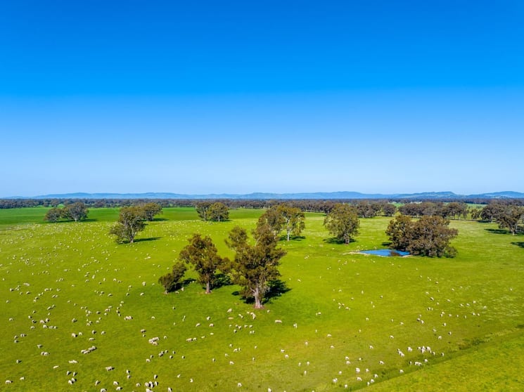 Click to view all images VIC - Image 3