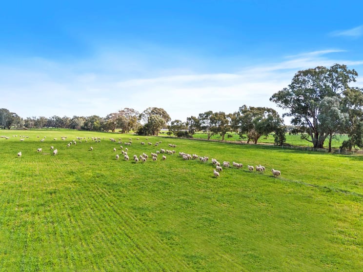 Click to view all images Pinewood, 870 Walshs Bridge Road Kaarimba VIC 3635 - Image 1