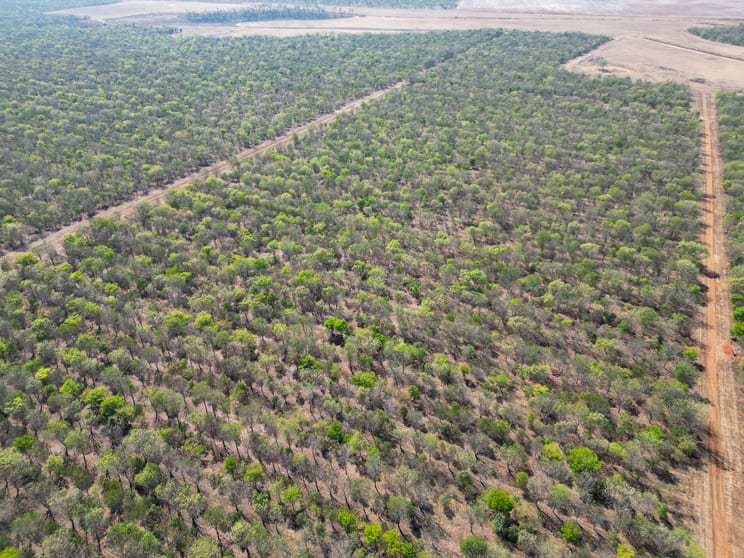 Click to view all images Douglas-daly NT 0822 - Image 1