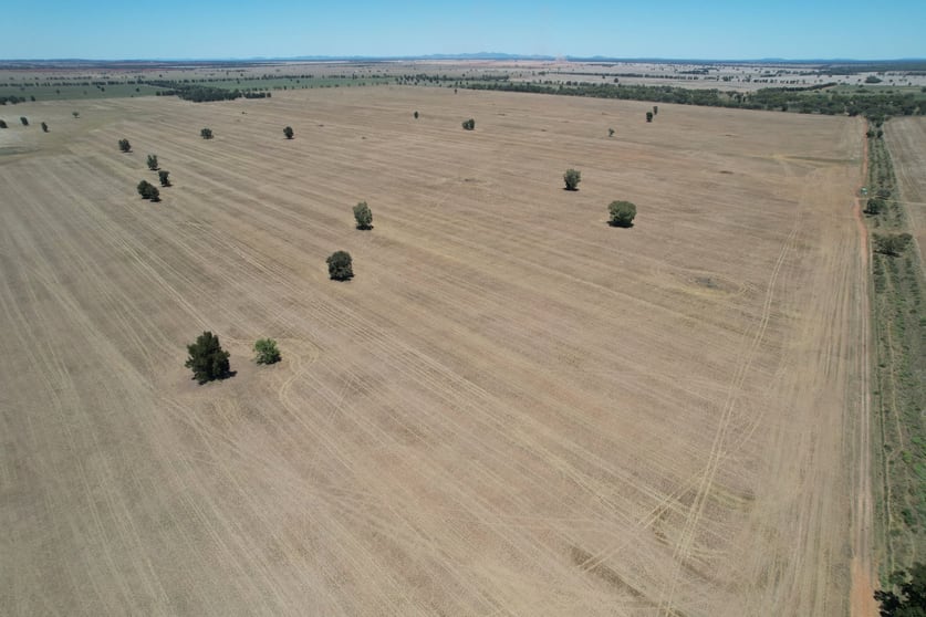 Click to view all images 14787 Lachlan Valley Way Kiacatoo NSW 2877 - Image 2