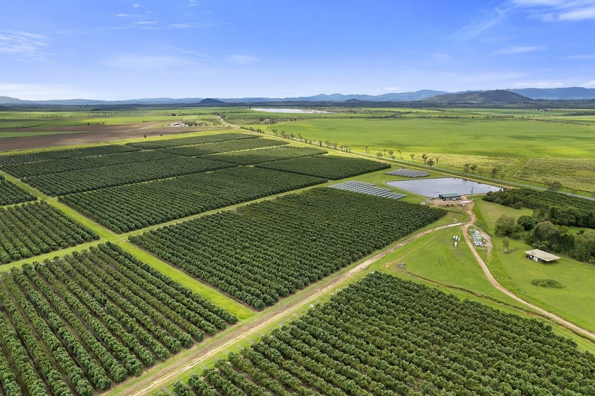 Click to view all images Mareeba Dimbulah Road Arriga QLD 4880 - Image 1