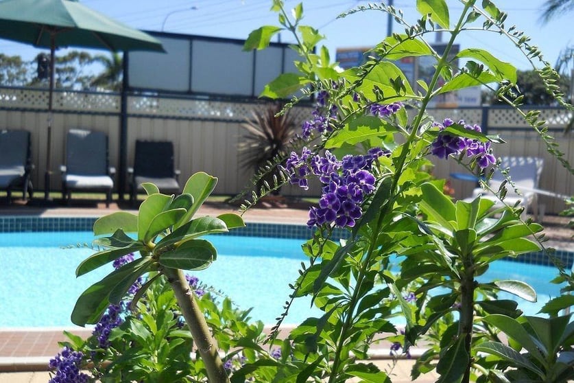 Click to view all images Pialba QLD 4655 - Image 3