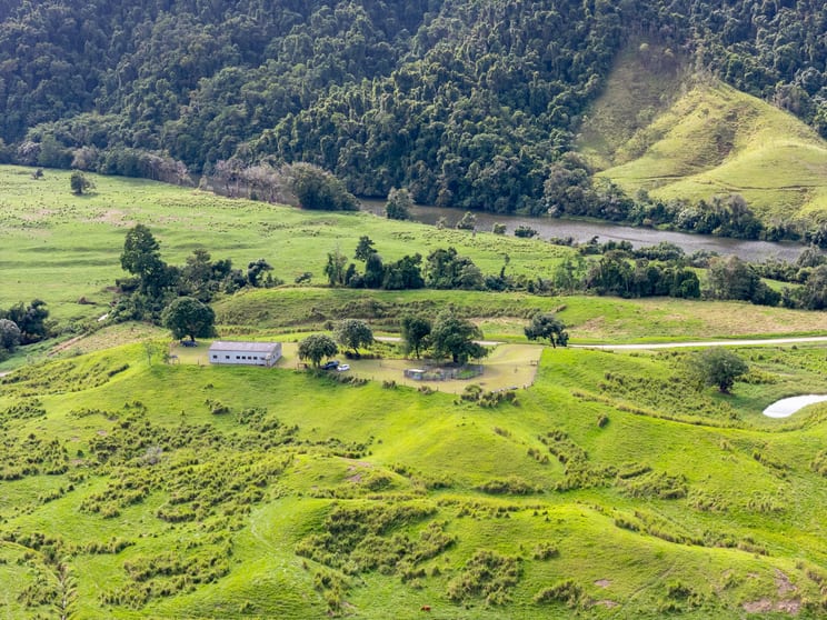 Click to view all images 299 Upper Daintree Road, Upper Daintree Daintree QLD 4873 - Image 3