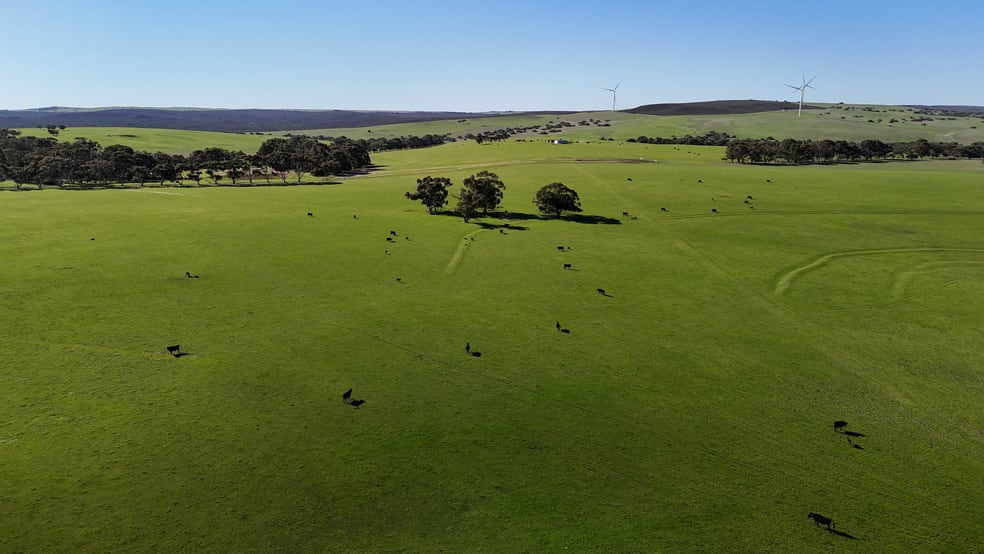 Badgingarra WA 6521 - Image 1