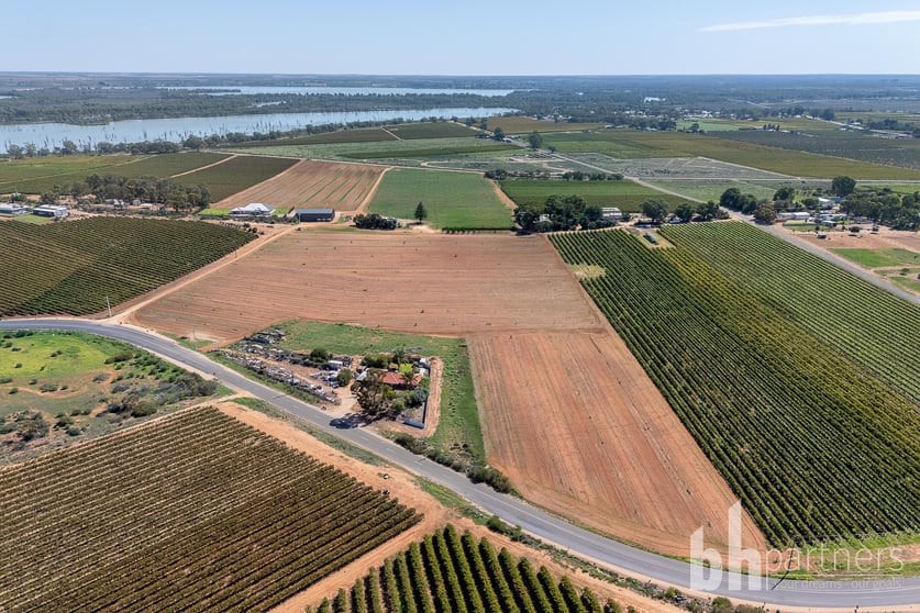 Lot 38 Loveday Road Barmera SA 5345 - Image 3