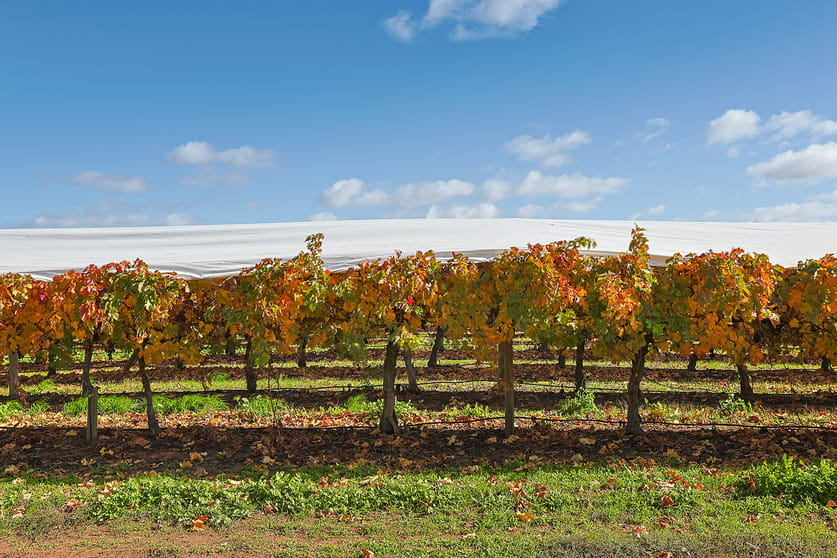 Click to view all images 693 Kenley Road Kenley VIC 3597 - Image 5