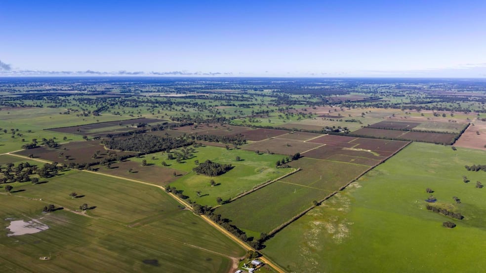 Click to view all images 1140 Langkoop Road Koppamurra SA 5271 - Image 1