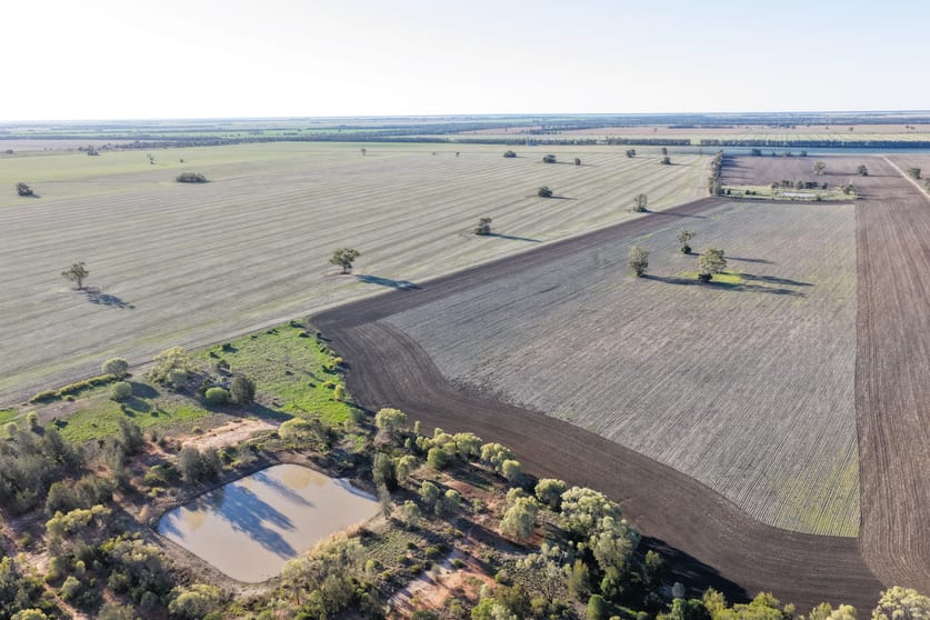 26446 Newell Highway Moree NSW 2400 - Image 2