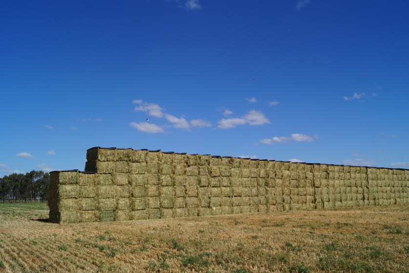 Hay Cap Tocumwal NSW 2714 - Image 2