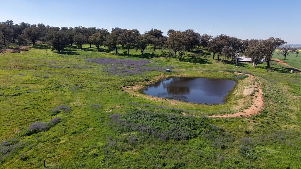 Click to view all images Elambone Homestead, Gerrybang Road Grenfell NSW 2810 - Image 5