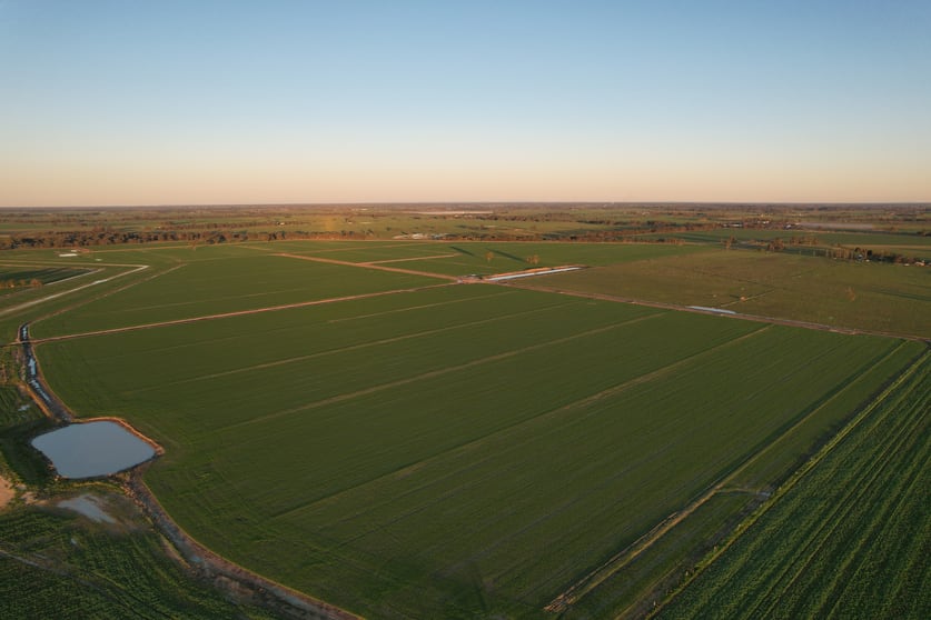 Click to view all images 7600 Murray Valley Highway Tongala VIC 3621 - Image 3