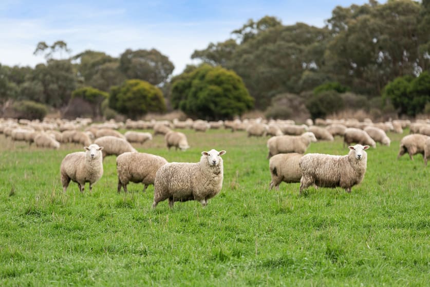 Click to view all images Mortlake-Ararat Road Mortlake VIC 3272 - Image 2