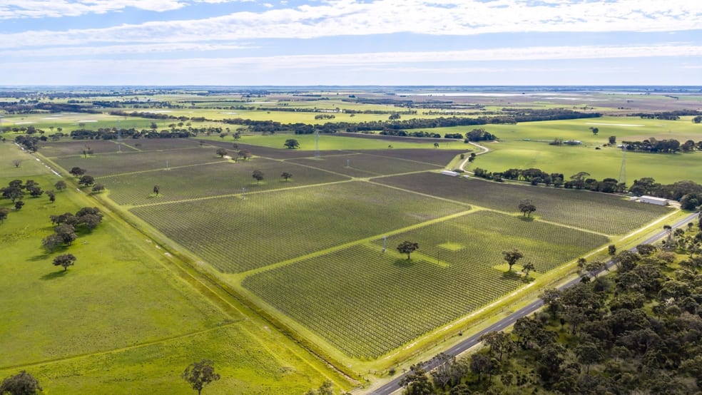 Davis Road Coonawarra SA 5263 - Image 1
