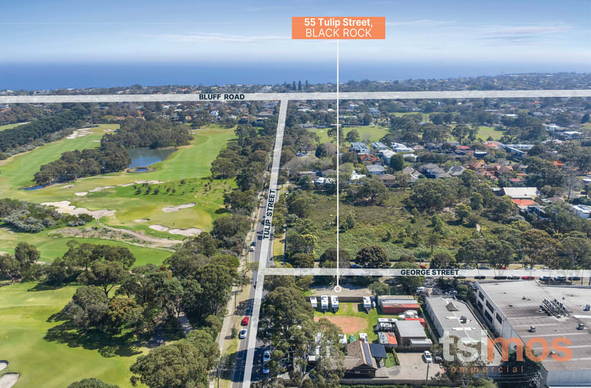 Click to view all images 55 Tulip Street Black Rock VIC 3193 - Image 3