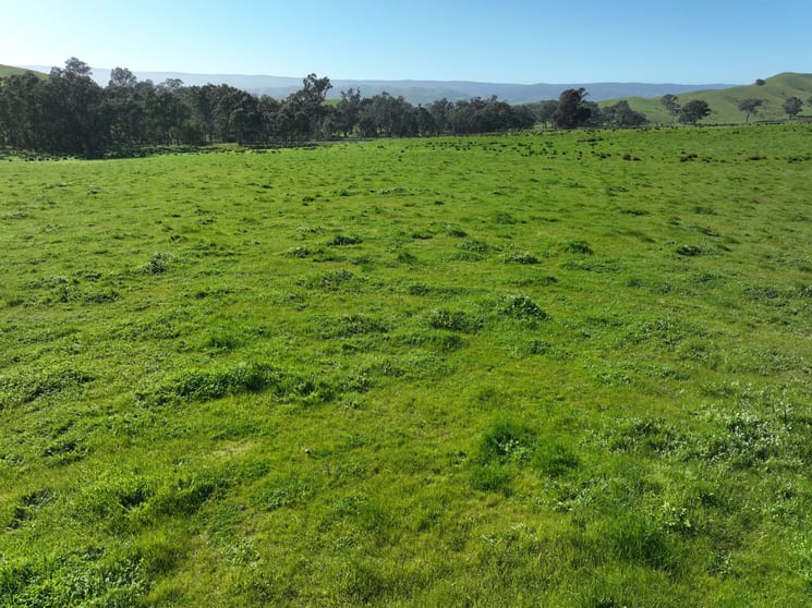 Click to view all images 5695 Melba Highway Yea VIC 3717 - Image 2