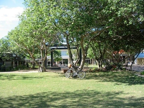 Click to view all images 7/10 Grebe Street Peregian Beach QLD 4573 - Image 3