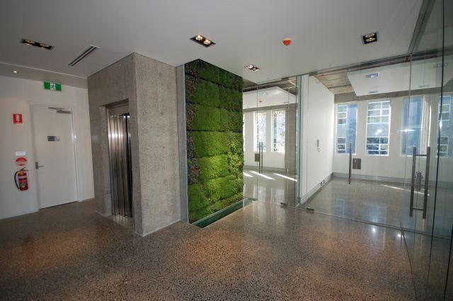 Click to view all images Level 1, 1/441-449 Elizabeth Street Street Surry Hills NSW 2010 - Image 1