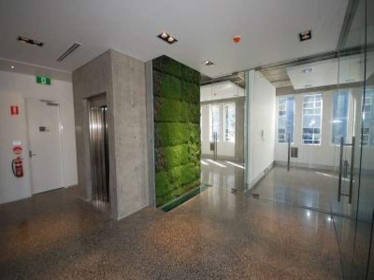 Level 1, S/441 Elizabeth St Surry Hills NSW 2010 - Image 2