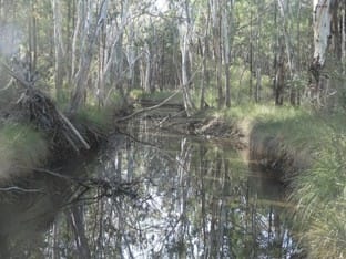 Lot 17 Wieambilla Road Wieambilla QLD 4413 - Image 2