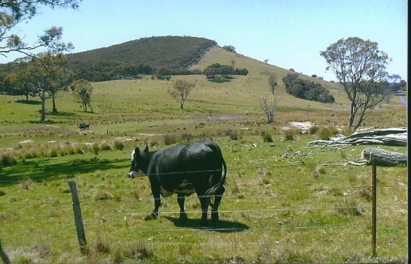 Click to view all images 2/219 Perks Road Rye Park NSW 2586 - Image 2