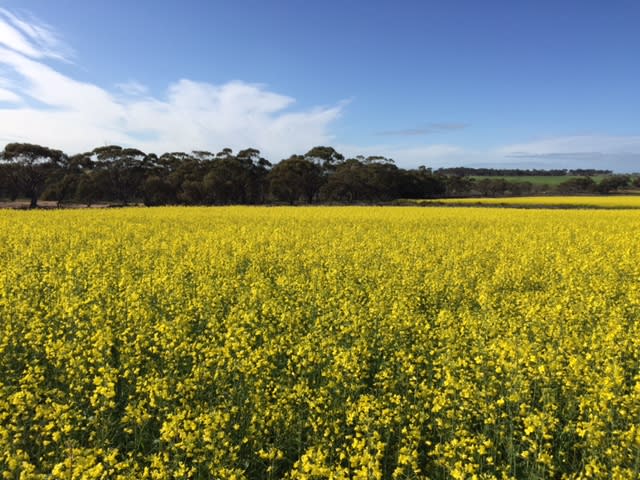 Click to view all images Lot 15475 Lennard Road, Caljie York WA 6302 - Image 2
