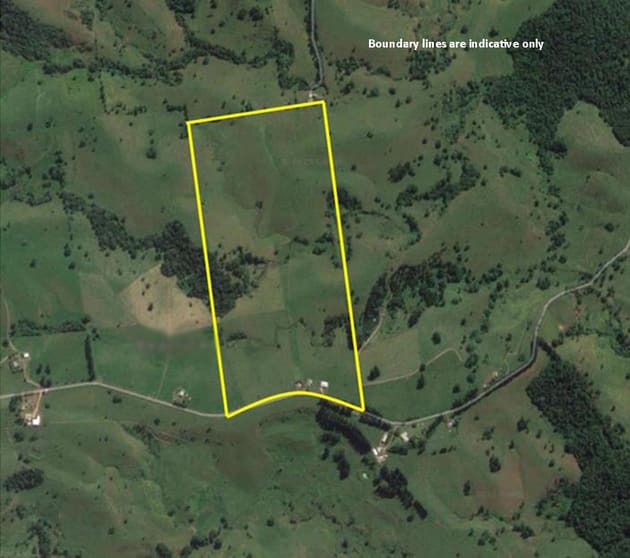 Click to view all images 210 Pheasant Rd Millaa Millaa QLD 4886 - Image 2