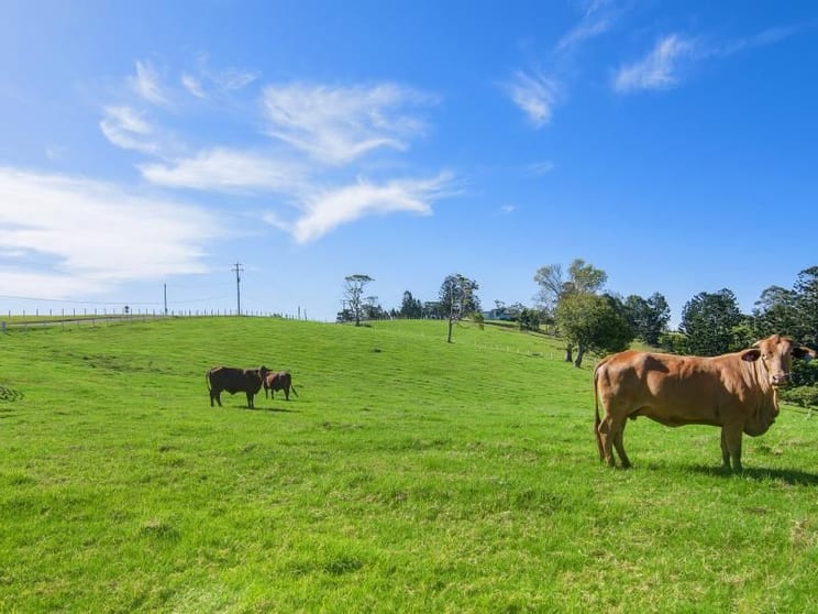 Click to view all images Lot 2/72 Freemans Rd Lower Beechmont QLD 4211 - Image 1