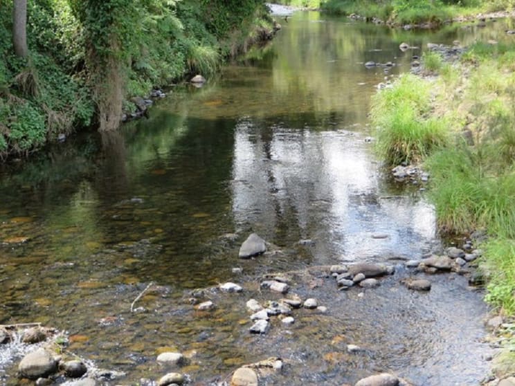 Click to view all images Lot 7 Bulldog Road Tabulam NSW 2469 - Image 1